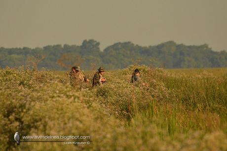 DSC_1265