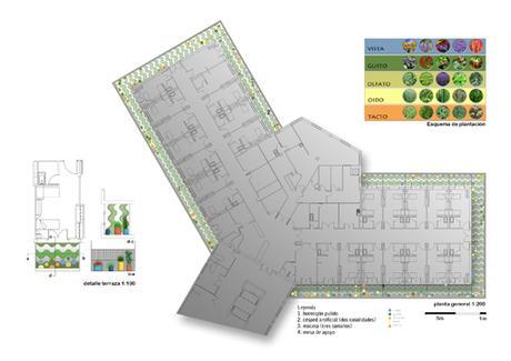 A-cero Projects II ANIVERSARIO EL JARDÍN DE MI HOSPI
