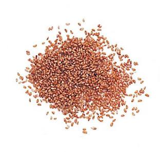 Alimentación y recetas 3. XXXVIII