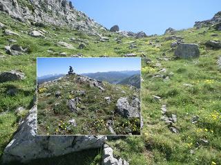 Mediodía (o Ricacabiello)-Peña la Cruz-Peñas de Liegos