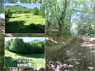 Mediodía (o Ricacabiello)-Peña la Cruz-Peñas de Liegos