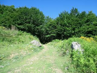 Mediodía (o Ricacabiello)-Peña la Cruz-Peñas de Liegos