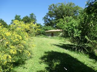 Mediodía (o Ricacabiello)-Peña la Cruz-Peñas de Liegos