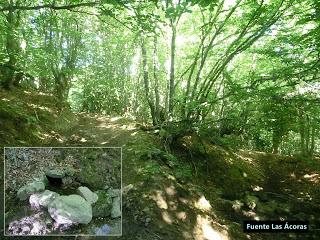 Mediodía (o Ricacabiello)-Peña la Cruz-Peñas de Liegos