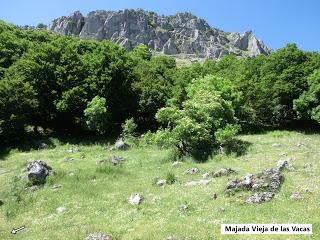 Mediodía (o Ricacabiello)-Peña la Cruz-Peñas de Liegos