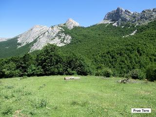 Mediodía (o Ricacabiello)-Peña la Cruz-Peñas de Liegos