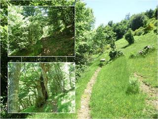 Mediodía (o Ricacabiello)-Peña la Cruz-Peñas de Liegos