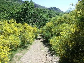 Mediodía (o Ricacabiello)-Peña la Cruz-Peñas de Liegos