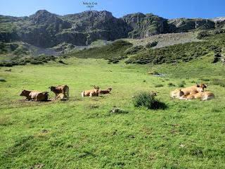Mediodía (o Ricacabiello)-Peña la Cruz-Peñas de Liegos