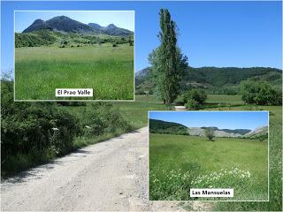 Mediodía (o Ricacabiello)-Peña la Cruz-Peñas de Liegos