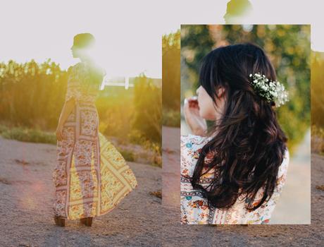 FIELDS OF GOLD