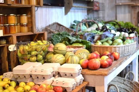 temps de terra | restaurante ecologico barcelona