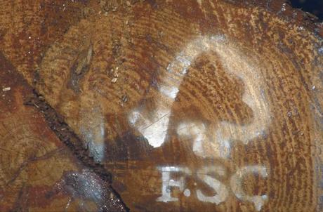 2-FSC_log-FSC-Eric_Goethals