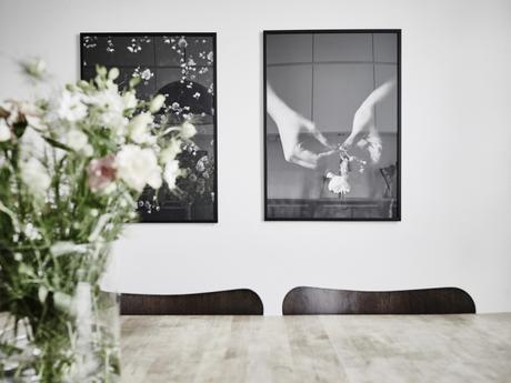 Composiciones decorativas elegantes repitiendo elementos