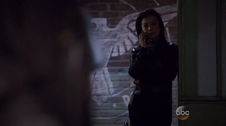 El gris se apodera de Shield