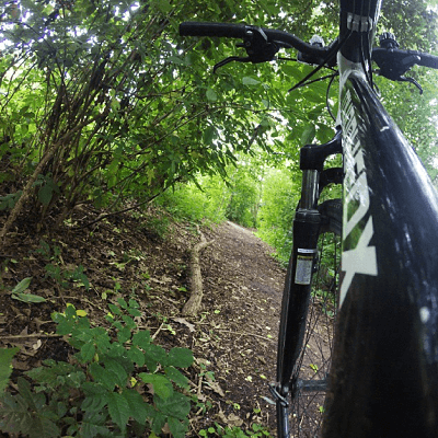 Bicicleta en un bosque