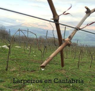 Vino Blanco Yenda Spicata 2014: a más a mucho más.