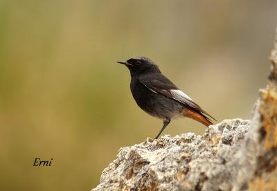 VIVO EN UN ÁTICO CON VISTAS AL MAR