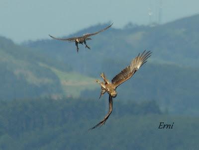 VIVO EN UN ÁTICO CON VISTAS AL MAR