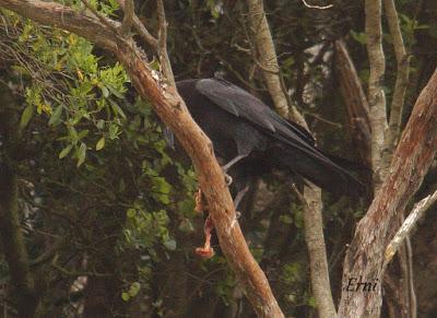 VIVO EN UN ÁTICO CON VISTAS AL MAR