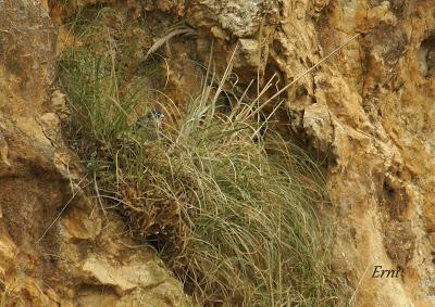 VIVO EN UN ÁTICO CON VISTAS AL MAR