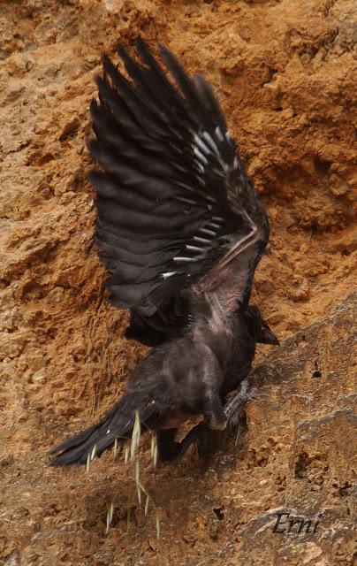 VIVO EN UN ÁTICO CON VISTAS AL MAR