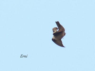 VIVO EN UN ÁTICO CON VISTAS AL MAR