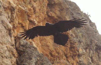 VIVO EN UN ÁTICO CON VISTAS AL MAR