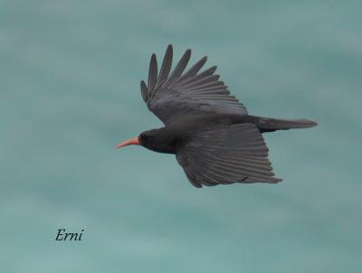 VIVO EN UN ÁTICO CON VISTAS AL MAR