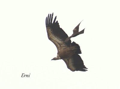 VIVO EN UN ÁTICO CON VISTAS AL MAR