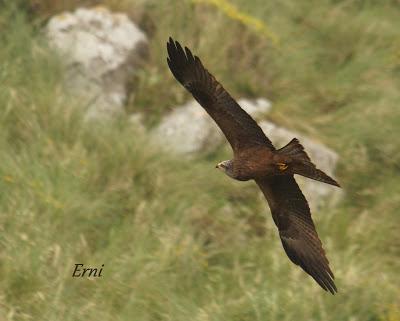 VIVO EN UN ÁTICO CON VISTAS AL MAR