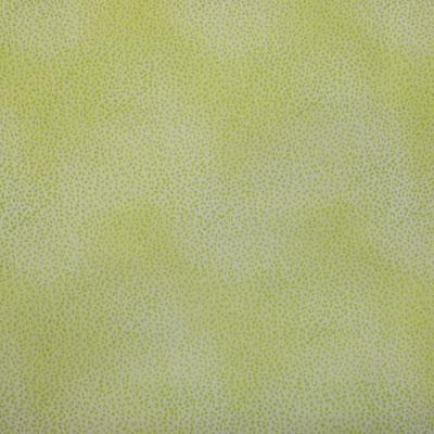 NUEVAS TELAS DE ALGODÓN AMERICANO