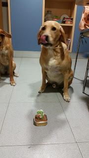 ¡Cumplo tres años! ¡Cumplo tres años!