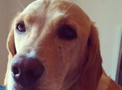 ¡Cumplo tres años!