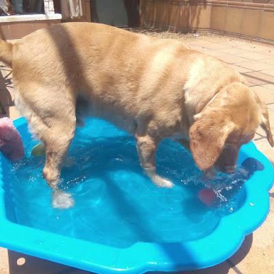 ¡Cumplo tres años! ¡Cumplo tres años!