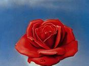 Unending Rose