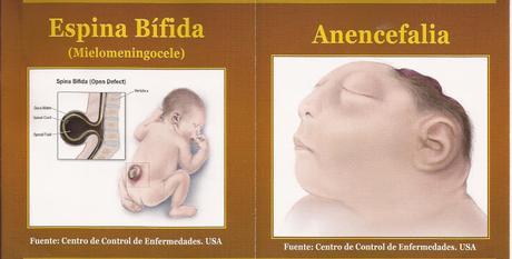 Biofortificación III: Otros elementos no menos importantes