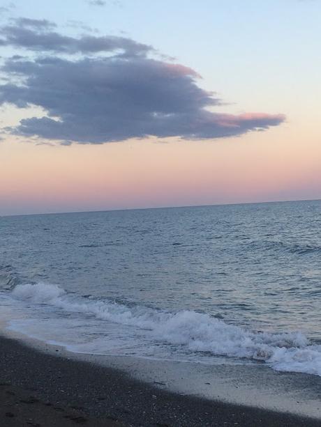 Micro Palabras (2): MAR Y VIDA