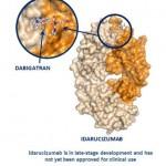 Idarucizumab_and_dabigatran