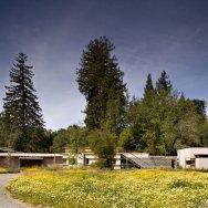 Creekside Residence 8