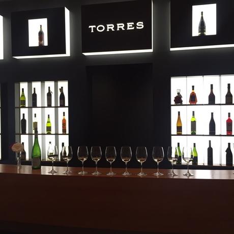 bodegas torres vinos