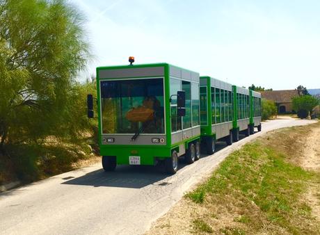 bodegas torres visita tren electrico