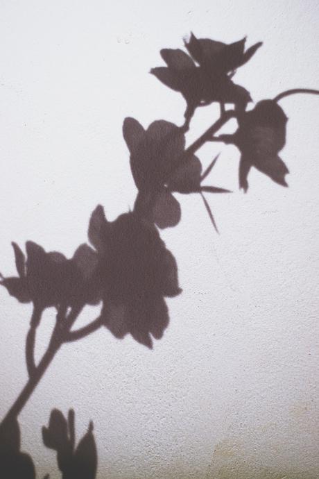 proyecto-fotografico-52-semanas-22-shadow