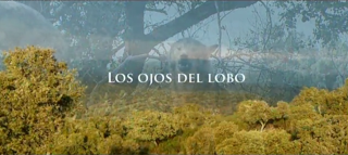 NOCHE, LOS OJOS DEL LOBO…