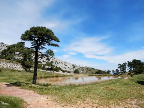 De Paüls a en Tossal d'Engrilló. Parc Natural de Els Ports (Tarragona)
