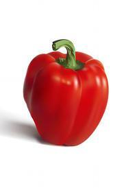 Una fresca ensalada Una fresca ensalada