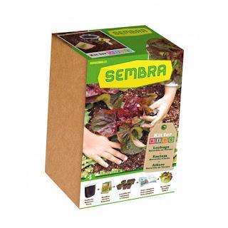 Crea tu propio Huerto Urbano, 