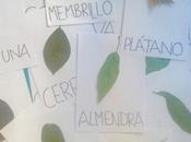 Ahora secretos árboles