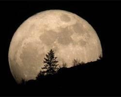 LA FUNCIÓN CONTINÚA…