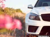 Mercedes Benz Prior Design. enamora